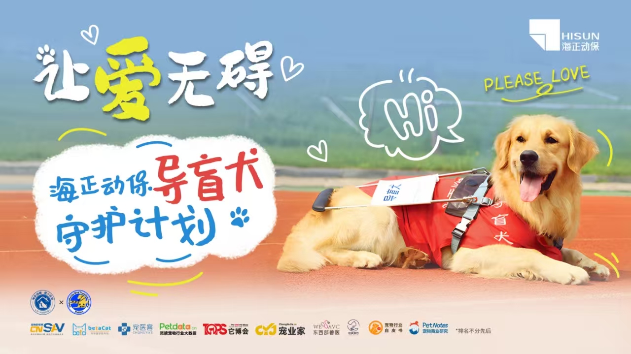 让爱无碍&middot;导盲犬守护妄想